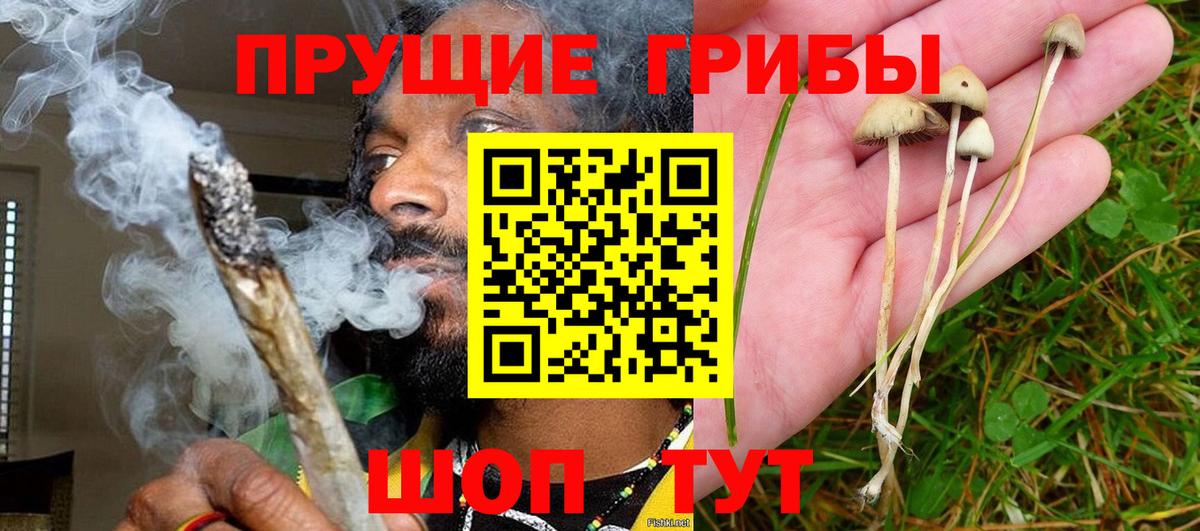 Псилоцибиновые грибы Psilocybine cubensis  Вход с VPN  Большой Камень  Псилоцибиновые грибы GOLDEN TEACHER 